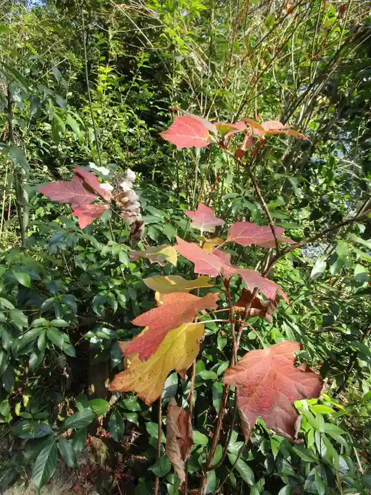矢田寺(奈良県)