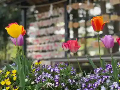 新橋浅間神社の自然