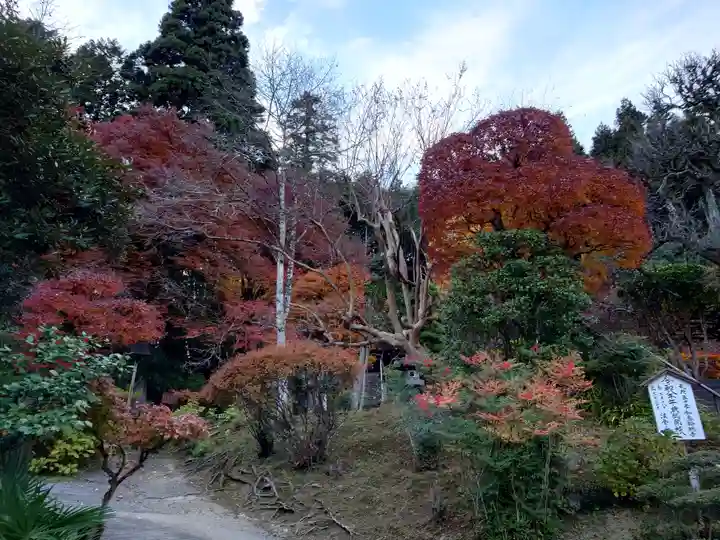 法雲寺(埼玉県)