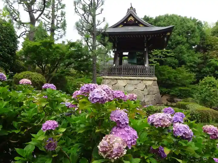 天台宗 長窪山 正覚寺の自然