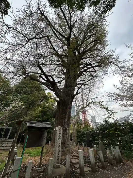 芝東照宮の自然