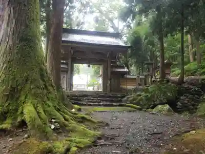 洞寿院の山門・神門