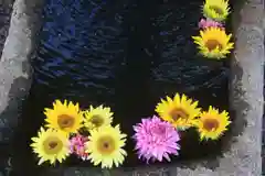 大鏑神社の手水