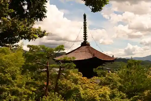 常寂光寺(京都府)