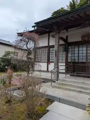 悟心寺(神奈川県)