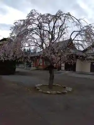 高藏寺(埼玉県)