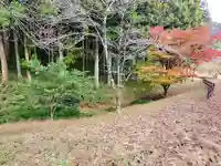 有綱神社の自然