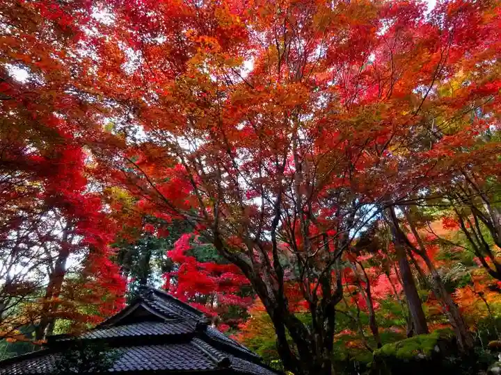 教林坊(滋賀県)