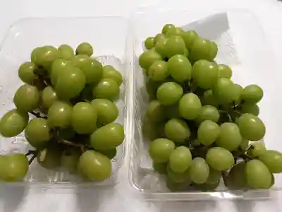 酒門神社の食事