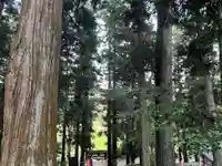 大宮温泉神社(栃木県)