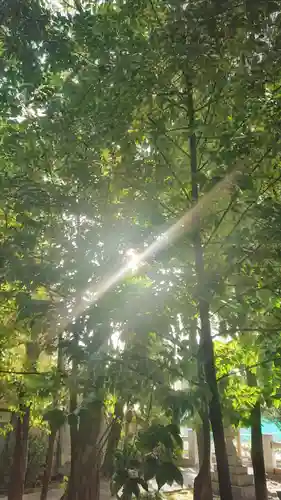 宗形神社の景色