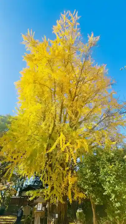 三栖神社(京都府)