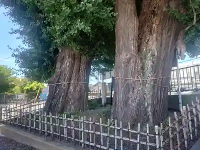 依知神社(神奈川県)