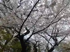 厳浄院(東京都)