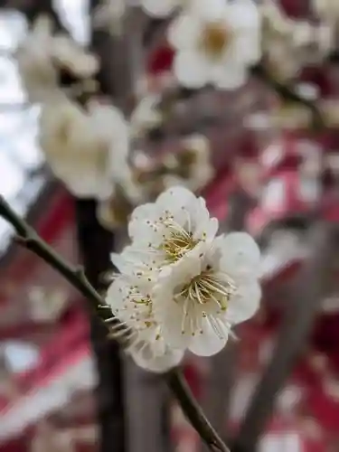 成子天神社(東京都)