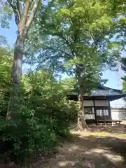 梅宮神社(埼玉県)