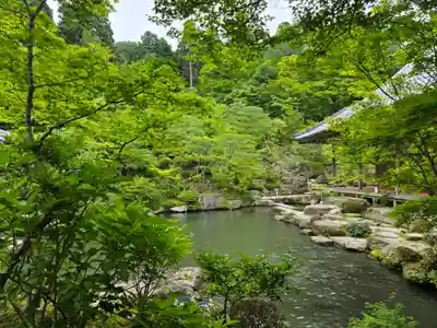喜見院(滋賀県)