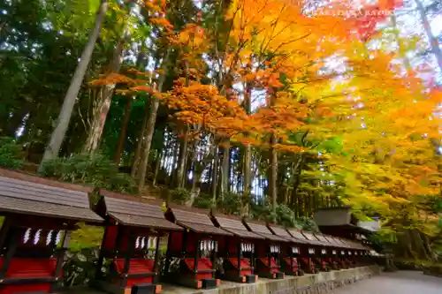 三峯神社(埼玉県)