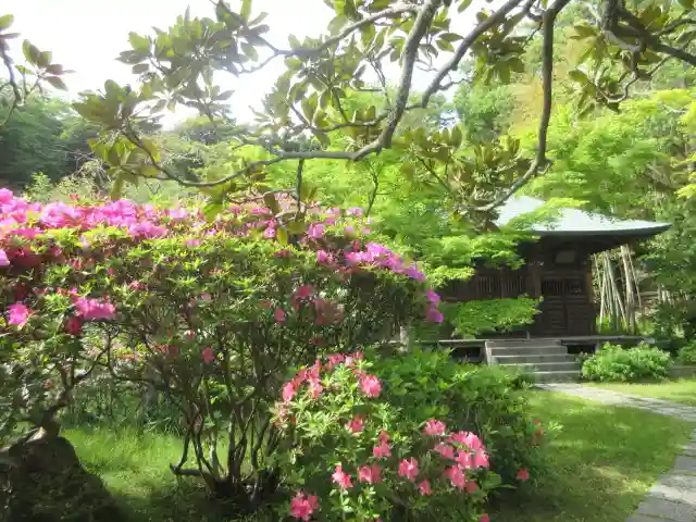 浄光明寺(神奈川県)