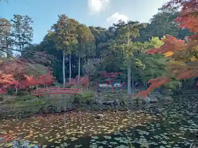 大原野神社(京都府)