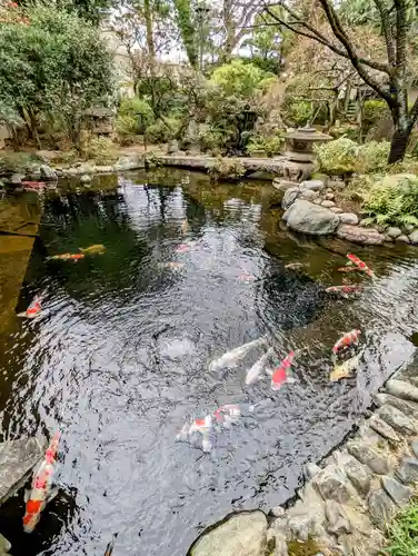 感通寺の庭園