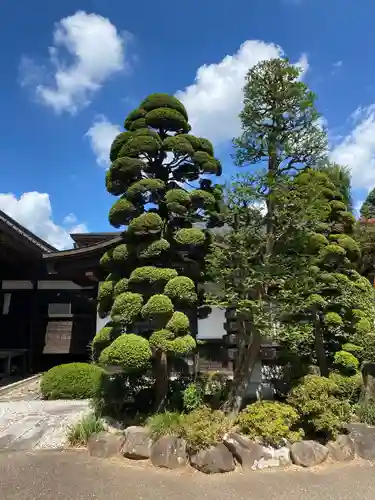 観音寺の庭園