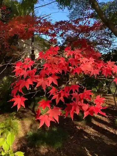 本土寺(千葉県)
