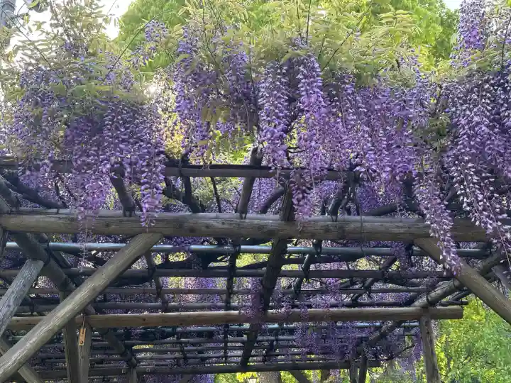 亀戸天神社の{uncategorized: "未分類", other: "その他", undefined: "問題あり", building: "その他建物", grave: "お墓", sacred_gate: "鳥居", guardian: "狛犬", statue: "像", buddha: "仏像", history: "歴史", nature: "自然", garden: "庭園", animal: "動物", pagoda: "塔", temizu: "手水舎", mountain_gate: "山門・神門", sanctuary: "本殿・本堂", subordinate: "末社・摂社", art: "芸術", scenery: "景色", jizo: "地蔵", ema: "絵馬", goshuin: "御朱印", omikuji: "おみくじ", items: "授与品その他", amulet: "お守り", goshuincho: "御朱印帳", eats: "食事", festival: "お祭り", votive_dance: "神楽", shichigosan: "七五三参", wedding: "結婚式", experience: "体験その他", initially: "初詣", around: "周辺", anti_infection: "感染症対策"}