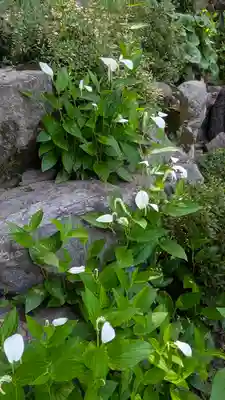 岡寺(龍蓋寺)(奈良県)