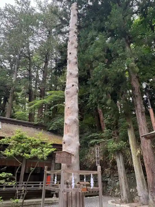 諏訪大社下社春宮(長野県)
