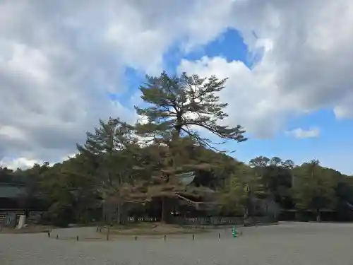 橿原神宮(奈良県)