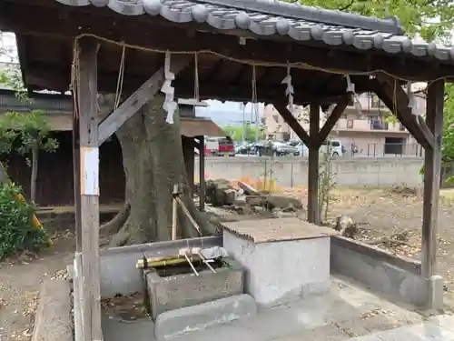 三栖神社の手水舎