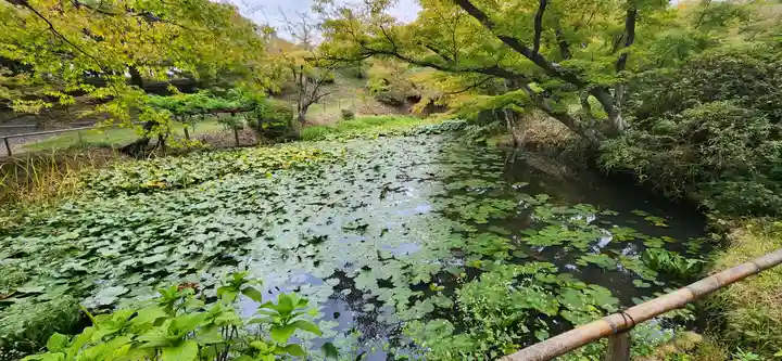 普門院(文知摺観音)の周辺