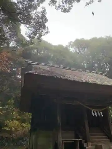 綱神社の本殿・本堂