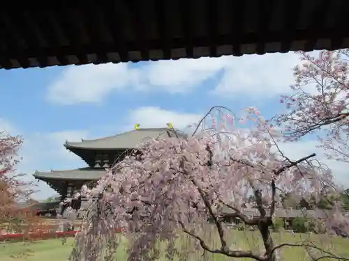 東大寺(奈良県)