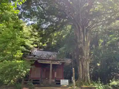 法興寺(千葉県)