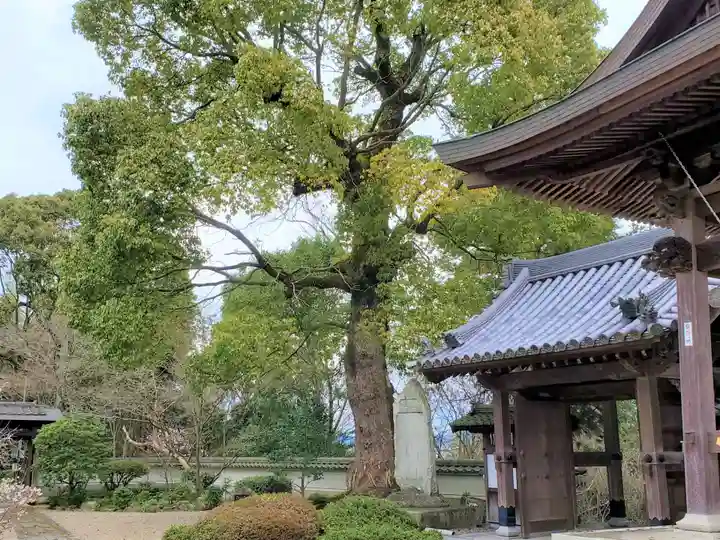 大龍寺のその他建物