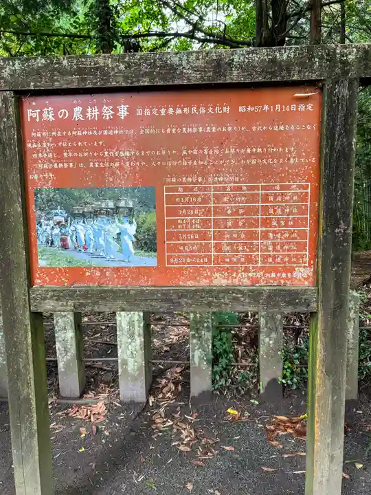 国造神社(熊本県)