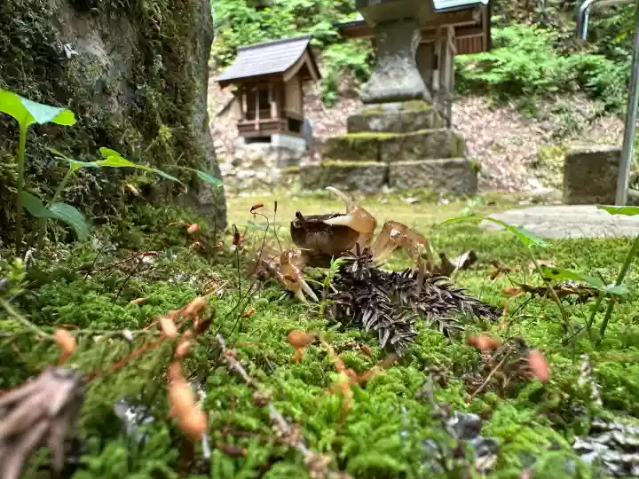水谷神社の動物