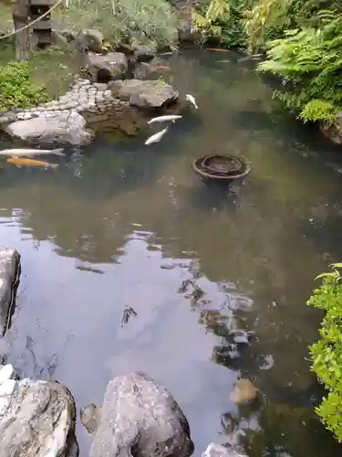 金蛇水神社(宮城県)