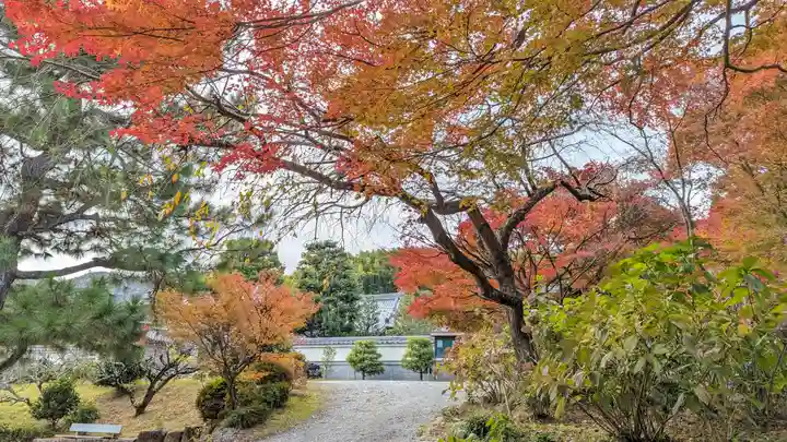 正法寺(京都府)
