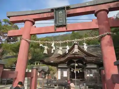 白鬚神社(滋賀県)