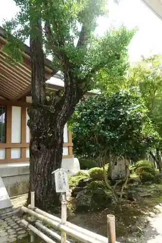 多田神社の庭園