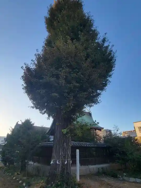井手神社(愛媛県)