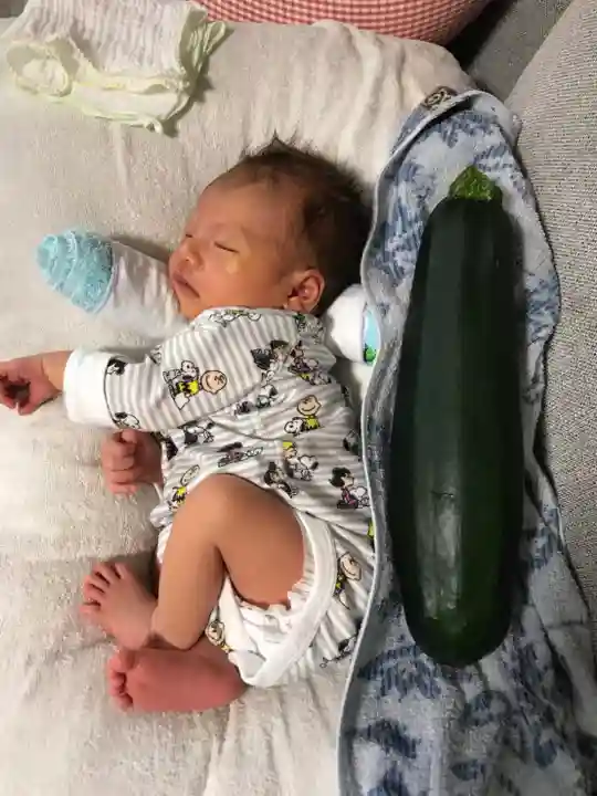 本照寺(山梨県)