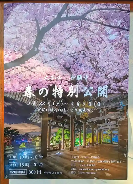 妙顯寺(妙顕寺)(京都府)