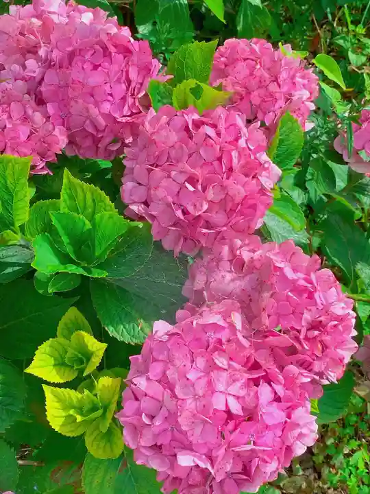 淡嶋神社(和歌山県)