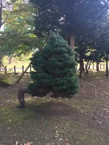 美国神社のその他建物