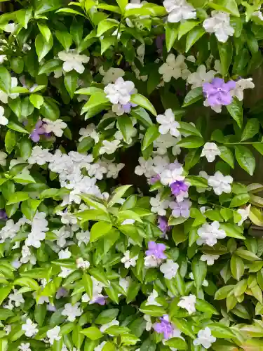 長応院(東京都)