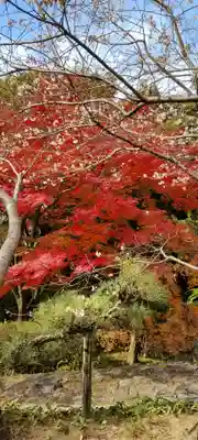 熱田神宮(愛知県)